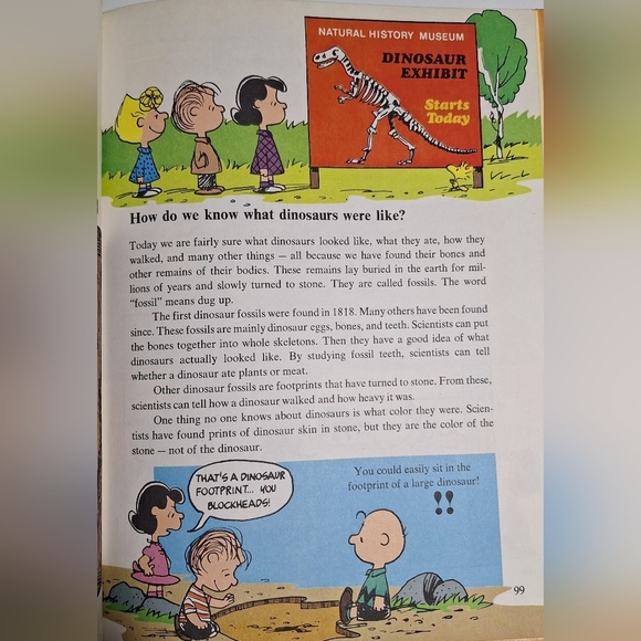 1980 Charlie Brown's 'Cyclopedia: Super Questions and Answers and Amazing Fact - Picture 3 of 4